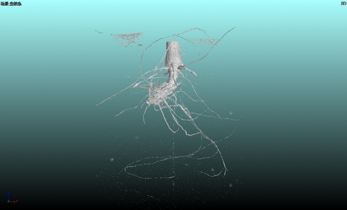 3D imaging of plant roots 3D imaging of plant roots